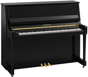B30 PE Polished black