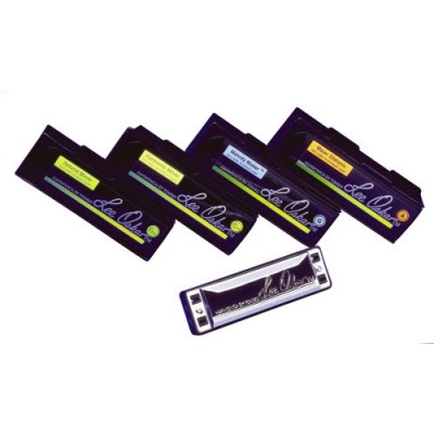 Melody Maker D/re Majeur - 10 Trous