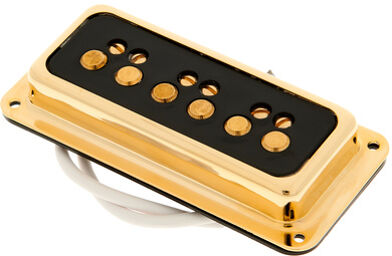 Dynasonic Gold Black Neck