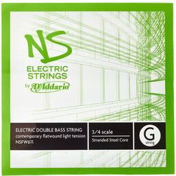 NSFW611 Electric Bass Str. G