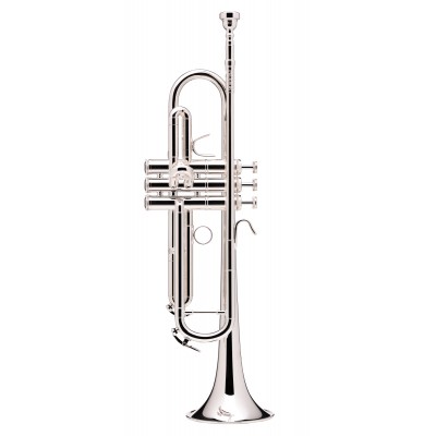 Prodige Sib Argentée (Branche Inversée) - BS210LR-2-0