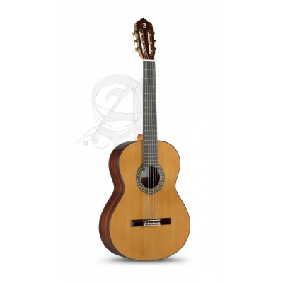 Conservatoire 5P 7/8 Senorita + 9736 25mm Housse