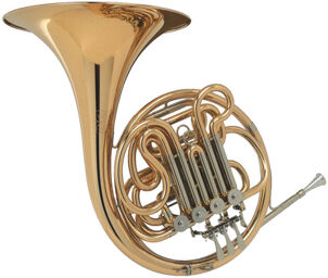 801G-L Double Horn