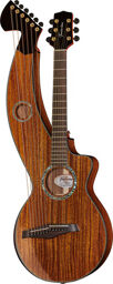 T70HGpc-e Harp Guitar Naturel