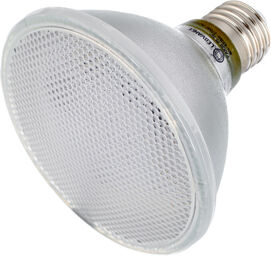PAR30 75 36° Dim P 10W 927 E27 2700 K
