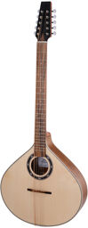 Irish Bouzouki 10 Strings