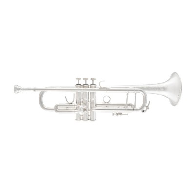 190S37 Stradivarius - Sib Vernie