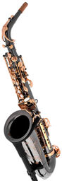 ASBBG Custom Line Alto Sax