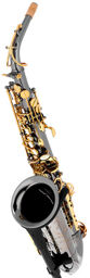 GX Black Nickel Alto Sax