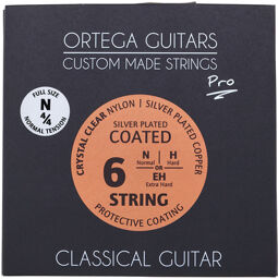 NYP44N Classical Strings