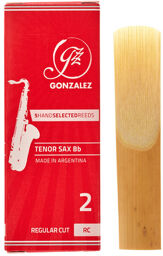 RC Tenor Saxophone 2.0