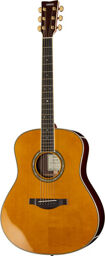 Transacoustic LL-TA VT Vintage Tint