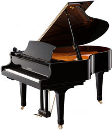 GX 2 ATX 4 E/P Grand Piano