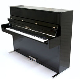 Model D Noir poli