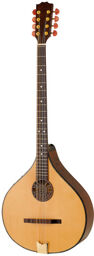 Irish Concert Bouzouki PU