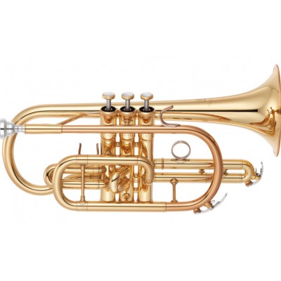 YCR6335II - Sib Verni