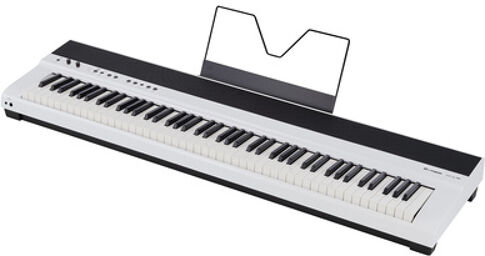 DP-28 Plus WH Blanc