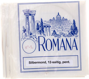 Silbermond Set of Strings PT