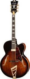 Premier EXL1 Brown Burst Brown Burst