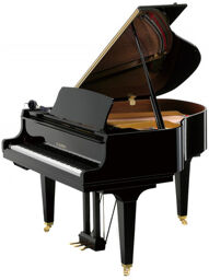 GL 10 ATX 4 E/P Grand Piano