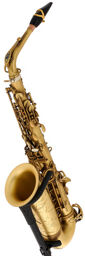 Signature Alto Sax SE-ASIP