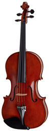 Linea Macchi Viola 16''