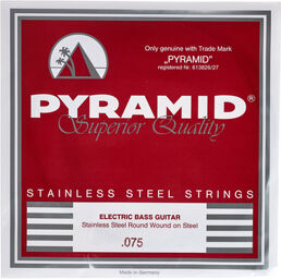 075 Single String bass guitar