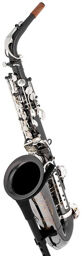 ASBBS Custom Line Alto Sax