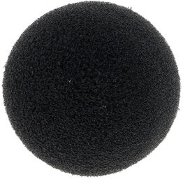 W444 Windscreen