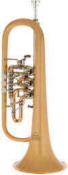 24R 1100 A100 G010 Flugelhorn