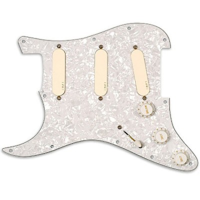 DG20 David Gilmour LH Pro Series Strat* Pickguard Collection Gaucher