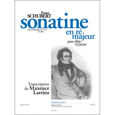 Sonatine In D For Flute And Piano D384