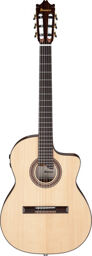 GA360TCE-NT naturel haute brillance