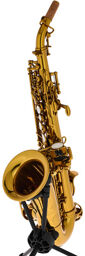 Classic Curved Soprano Sax