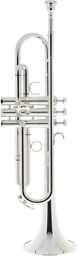 B5 Bb-Trumpet