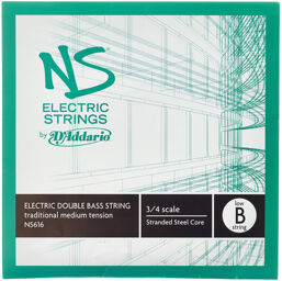 NS616 Electric Bass Low B