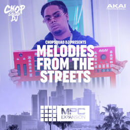 Melodies From The Streets
