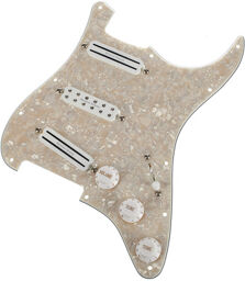 Dave Murray Loaded Pickg. PL