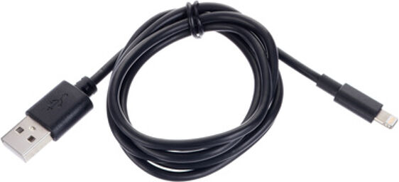 Lightning/ USB-A 100