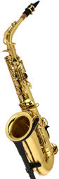 TAS-180 Matt Alto Sax