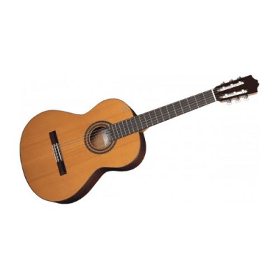 30 Cedre Massif - Sapele