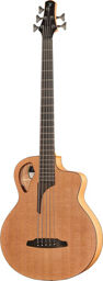 Bc 61-CM 5 Acoustic Bass Naturel à pores ouverts