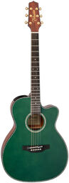 LTD2025 Antique Evergreen