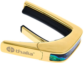 Shell Collet.Blue Abalone Gold