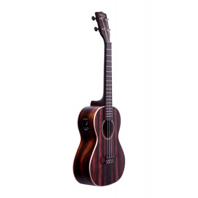 Ebony Tenor Electro-Acoustique