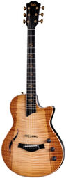 Custom #27: CT5z B5027 Antique Blond