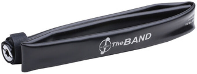 The Band2 Violin