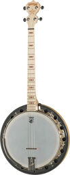 Goodtime Two 19 Fret Naturel mat