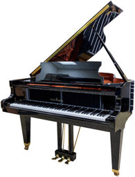 Grand Piano used black Noir poli