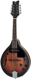 RMAE30-WB Whiskey Burst Satin